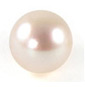 Bijou de Perles PED301A