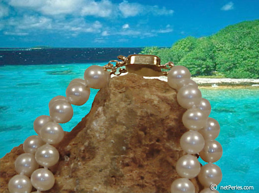Bijou : collier de perles Eau Douce (ED112) collier de perles Eau Douce