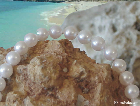 Bijou : collier de perles Akoya (ES02) collier de perles Akoya