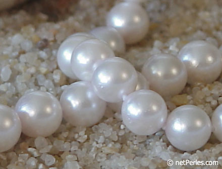 Bijou : collier de perles Akoya (ES12) collier de perles Akoya