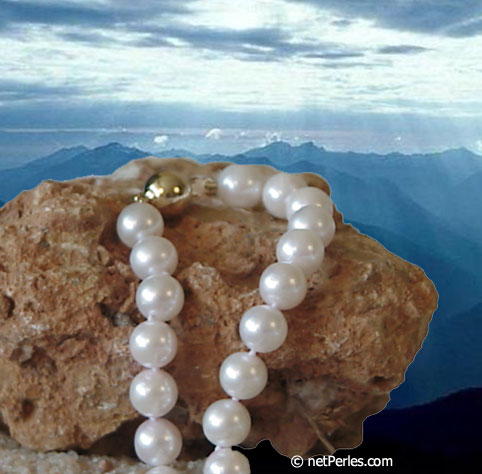 Bijou : collier de perles Akoya (ES12) collier de perles Akoya
